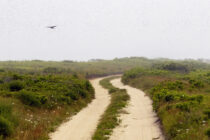 Smooth Hummocks road