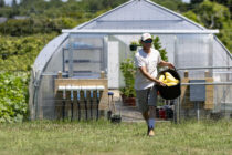 Nick Larrabee carrying summer squash at My Grandfather's Farm