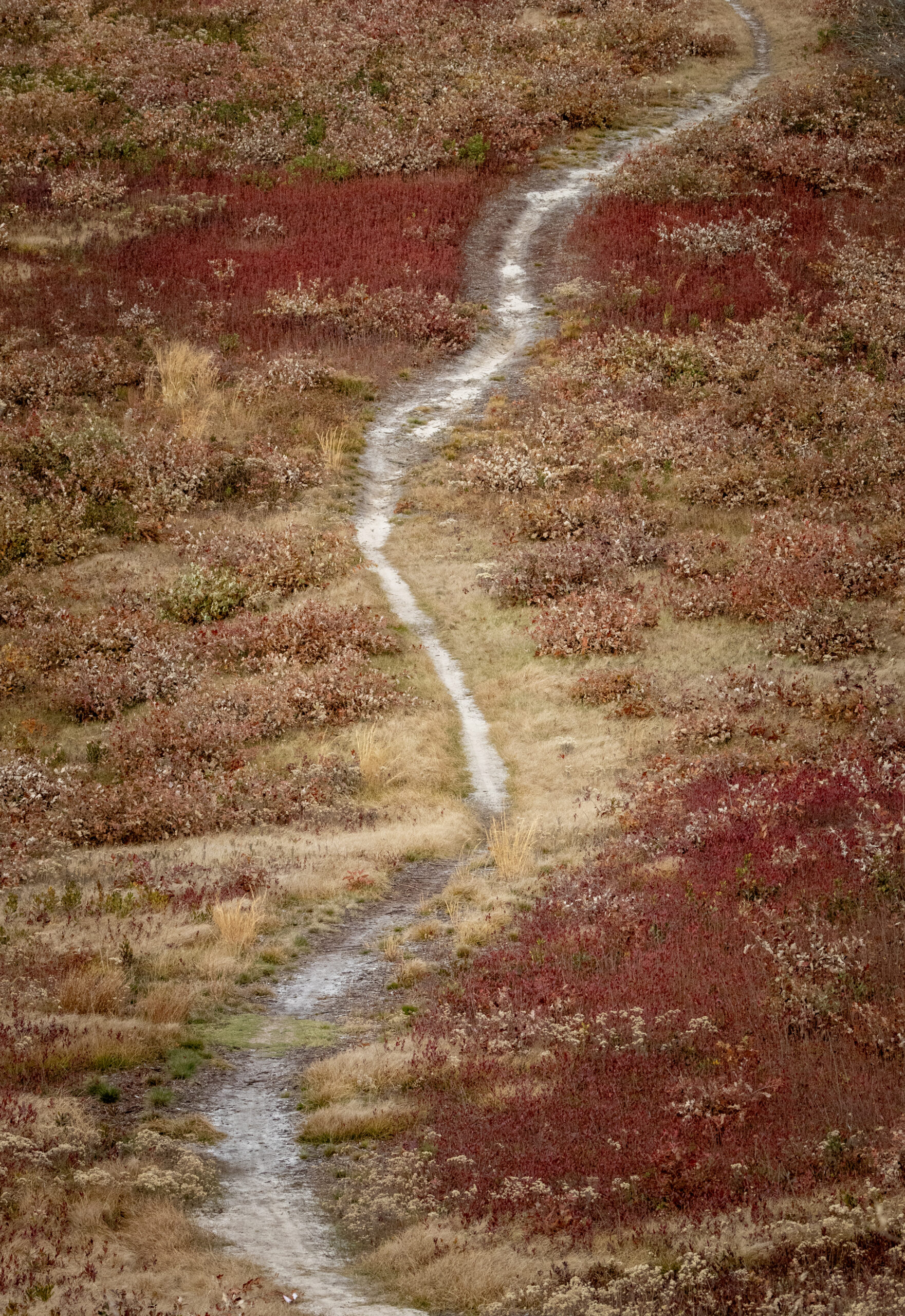 Staff Spotlight Marian Wilson Nantucket Land Bank