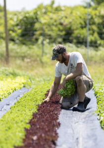 Aidan Feeney at Fog Town Farm