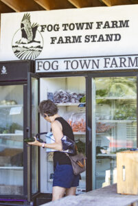 Customer shopping at Fog Town Farm farm stand.