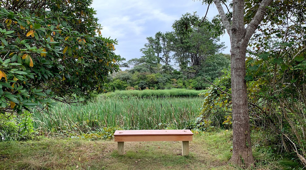 Bench CROP