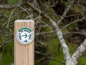 Coast to Coast trail sign at Burchell Farm