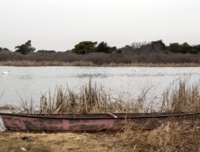 Miacomet Pond by Bill Hoenk