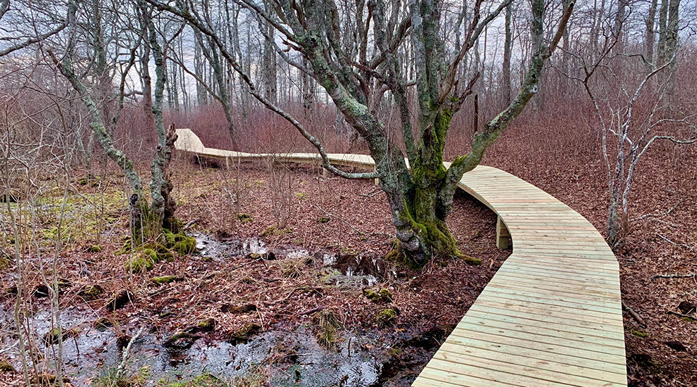 Boardwalk CROPPED