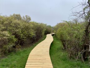 Peter Folger Homestead boardwalk