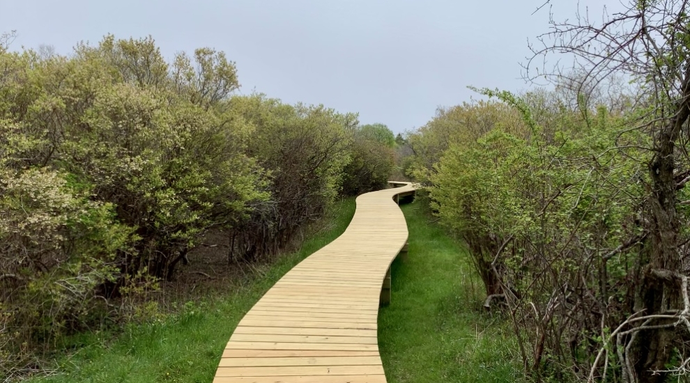 Cassidy boardwalk