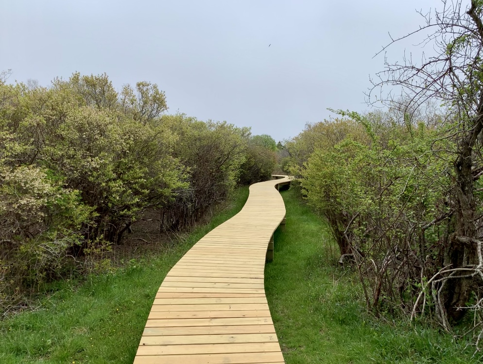 Cassidy boardwalk