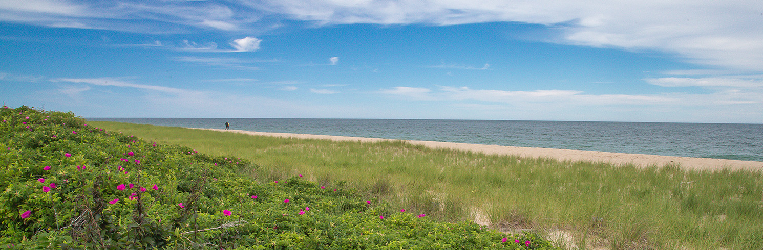 Codfish Beach CROPPED