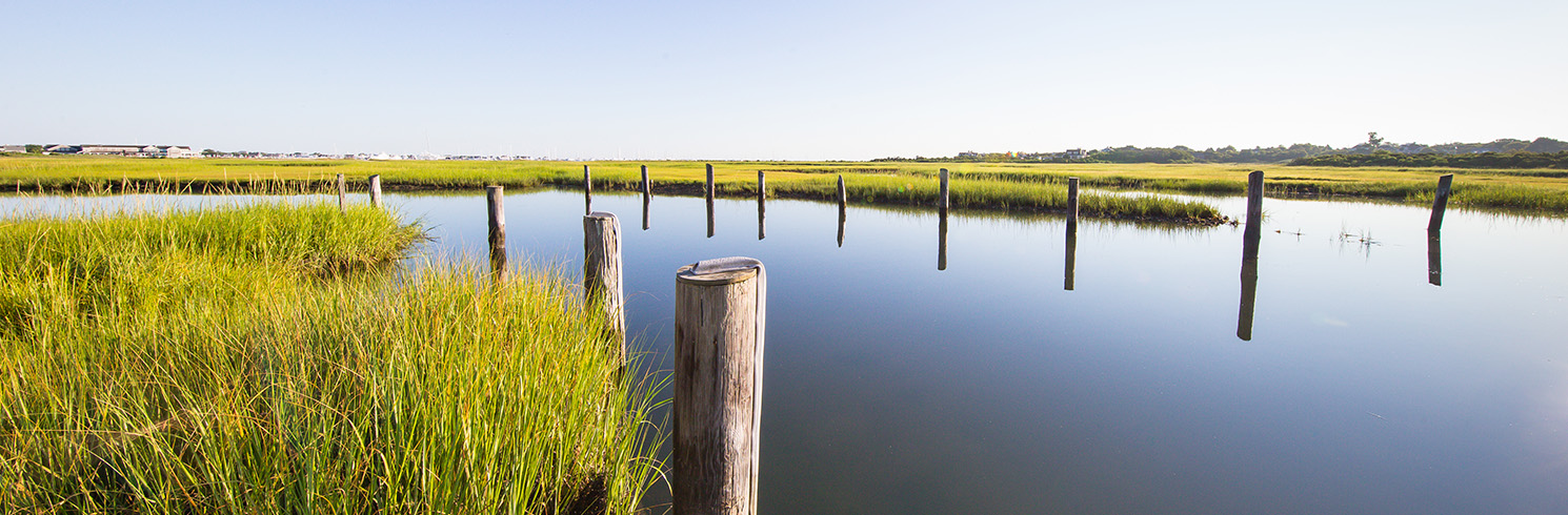 Creeks_Pilings-1 CROPPED