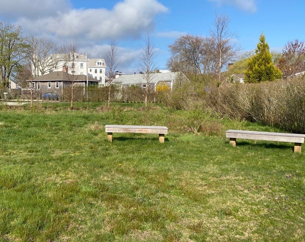 Benches at Land Bank Rain Garden