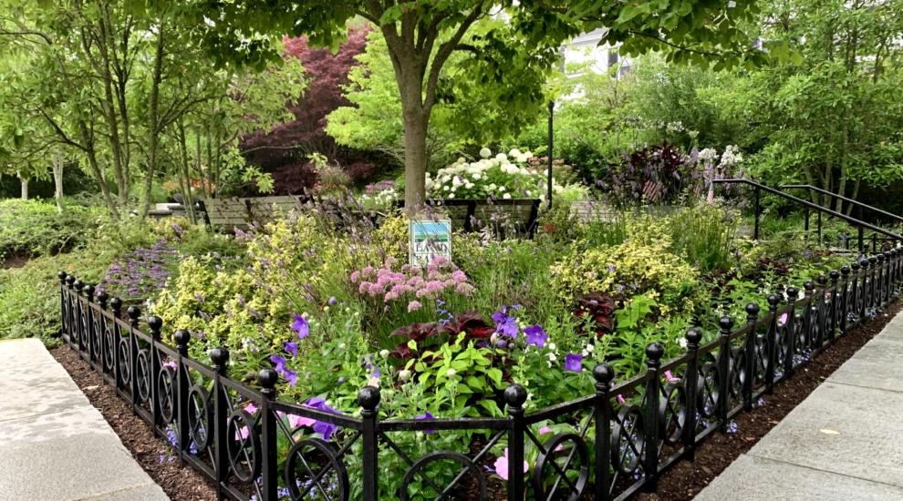 Fair St Garden
