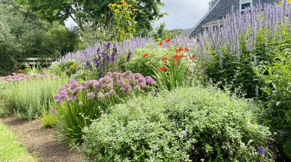 Garden by the Sea JB
