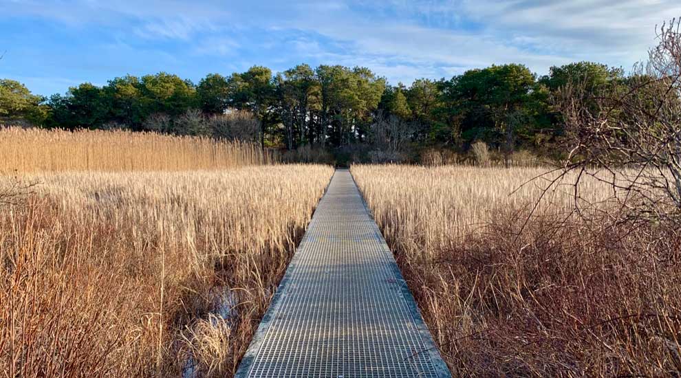 Boardwalk over wetlands at Gardner Farm.