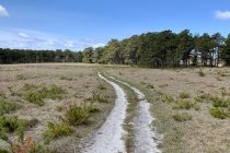 Gardner Farm trail on a sunny day