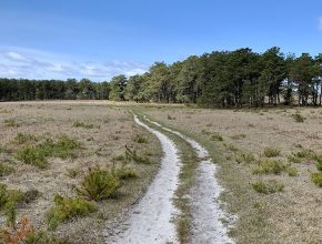 Gardner Farm trail on a sunny day