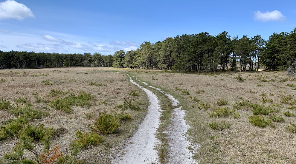 Gardner trail on a sunny day CROP