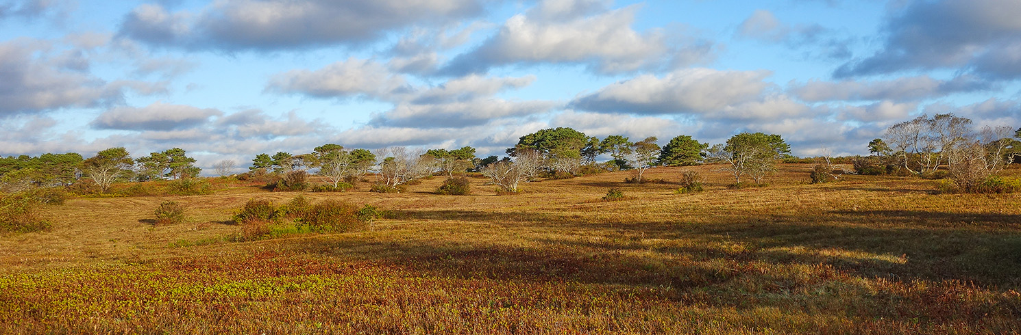 Head of Plains CROPPED