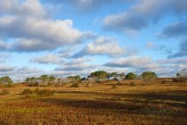 Head of the Plains landscape