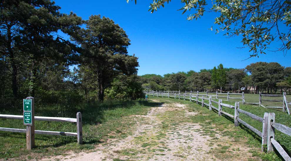 Trail Entrance at Hinsdale Park