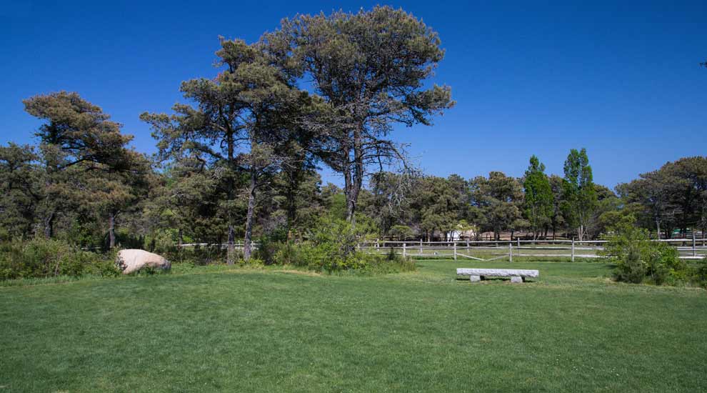 Stone Bench and Trees at Hinsdale Park