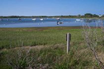 View of Polpis Harbor from Holly Farm