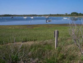 View of Polpis Harbor from Holly Farm