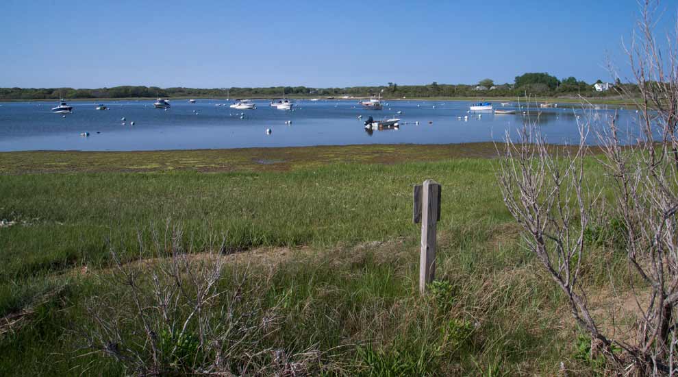 View of Polpis Harbor from Holly Farm