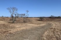 Sanford Meadows Trail