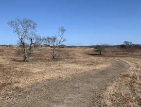 Sanford Meadows Trail