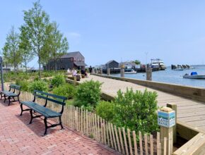 Easy Street Park June 2021