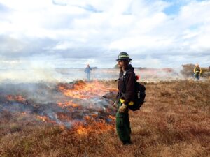 Prescribed burn in action