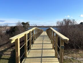 Long Pond Landing Boardwalk