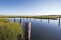 Creeks on Nantucket