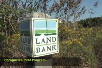 Land Bank Sign Post