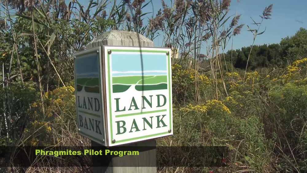 Land Bank Year in Review Nantucket Land Bank