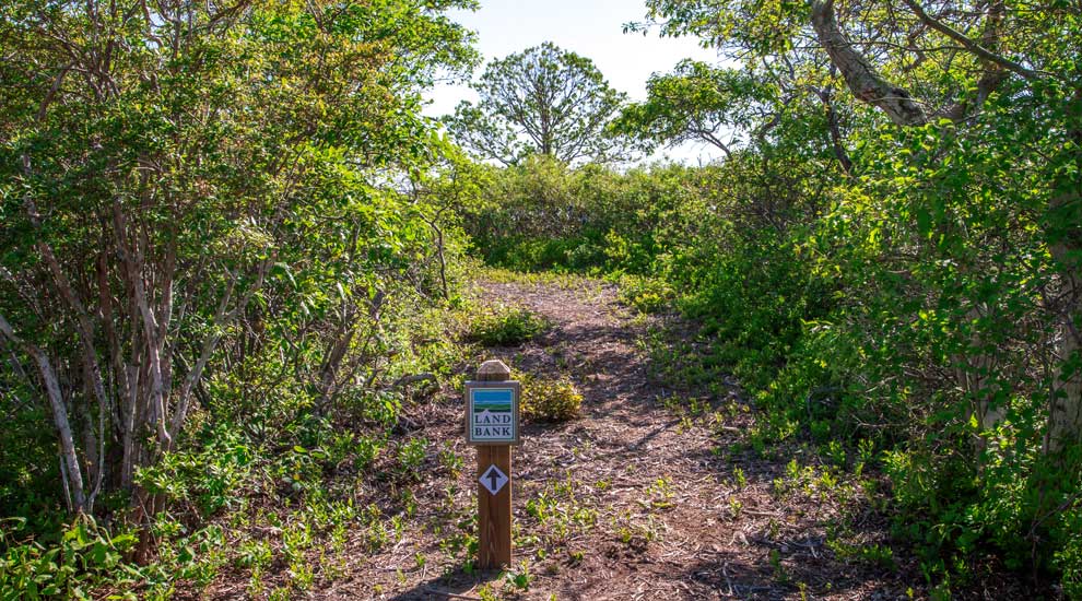 Land Bank Post marker on a trail at Norwood Farm / Stump Pond