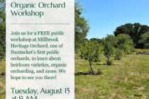 Orchard Workshop Flyer