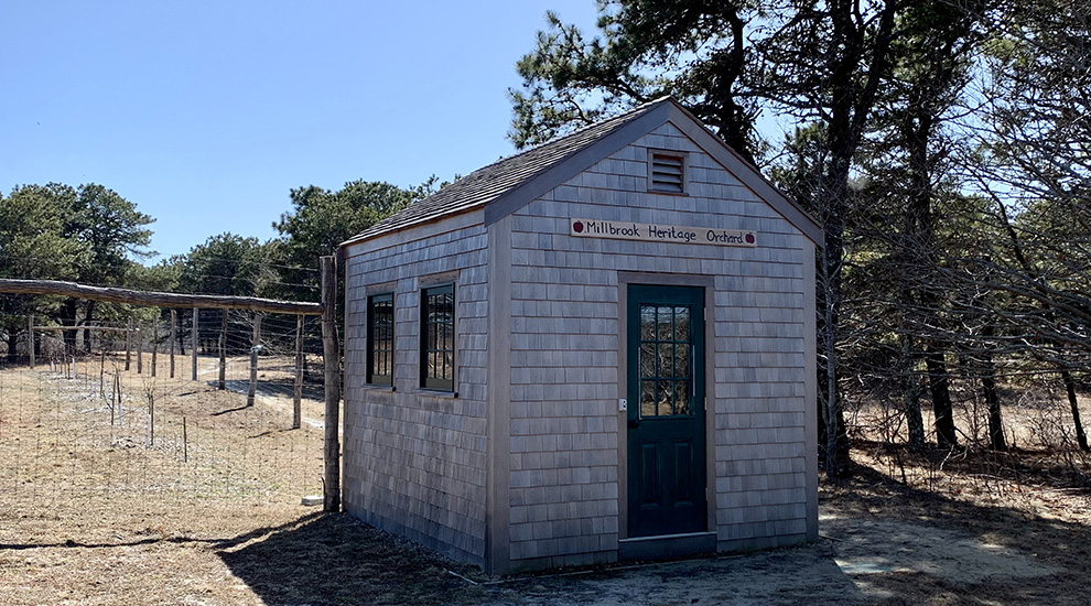 Orchard shed (3) CROPPED