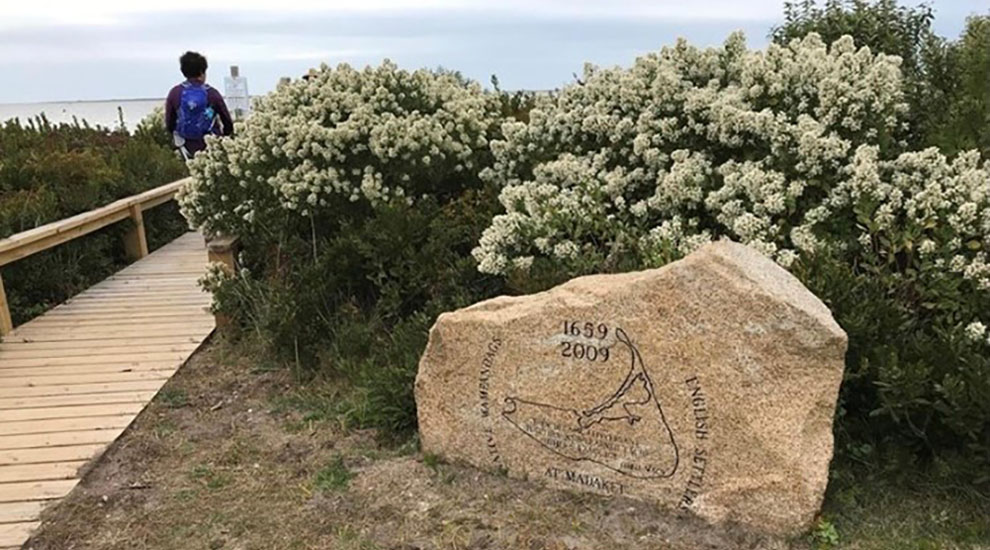 Settlers Rock CROP