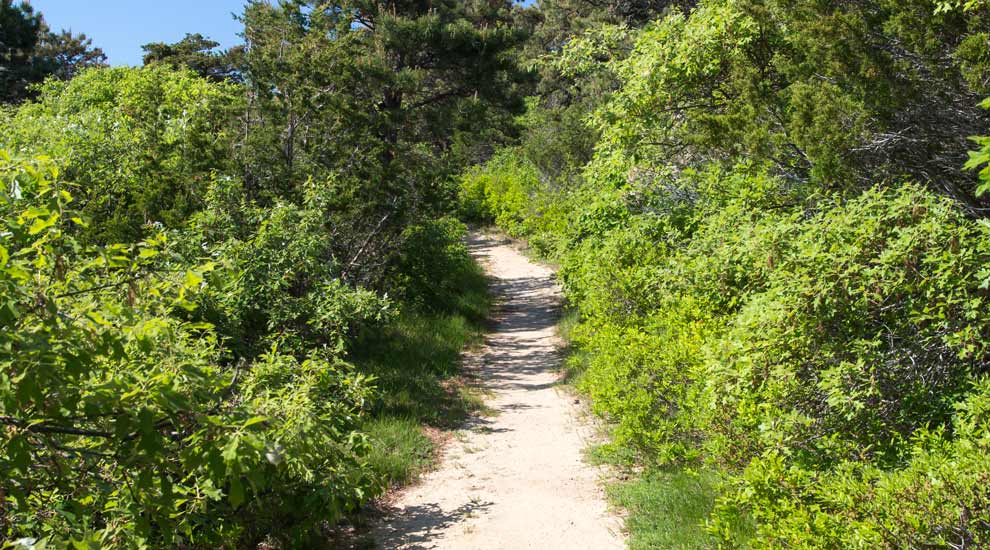 Trail at Shawkemo Hills