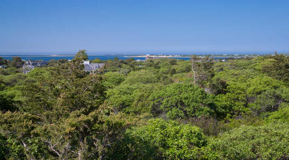 View of the Harbor from Shawkemo Hills