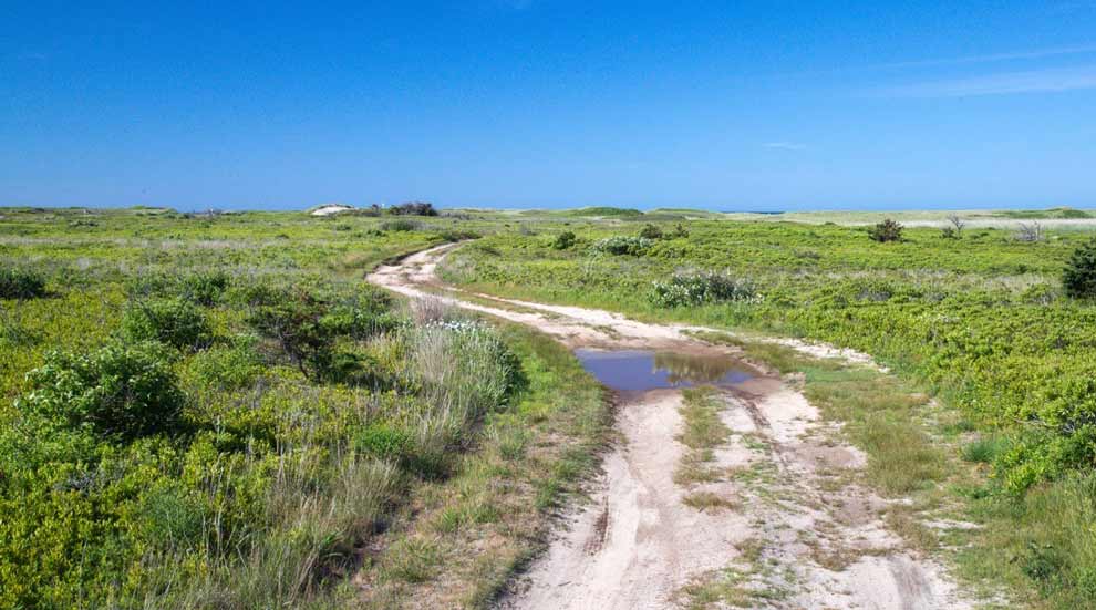 Trail at the Smooth Hummocks Coastal Preserve