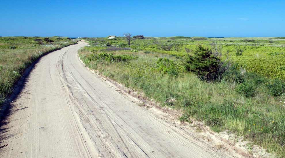 Trail at the Smooth Hummocks Coastal Preserve