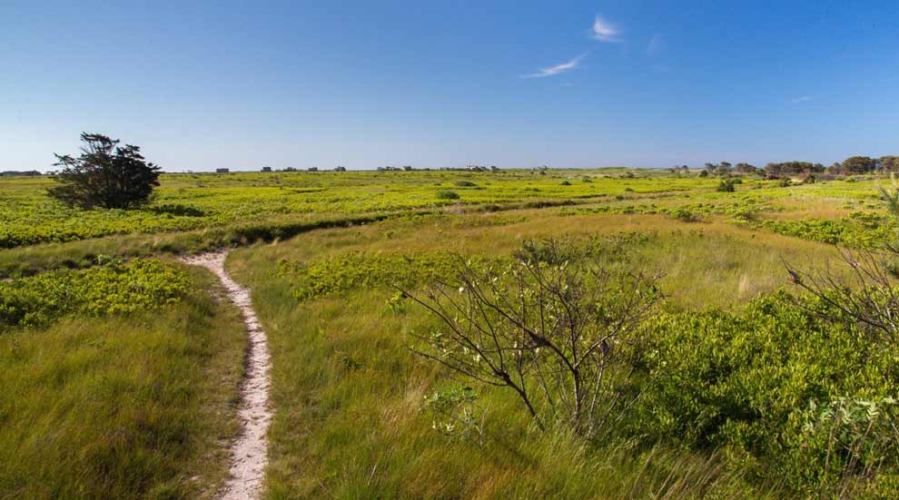 Trail at the Smooth Hummocks Coastal Preserve