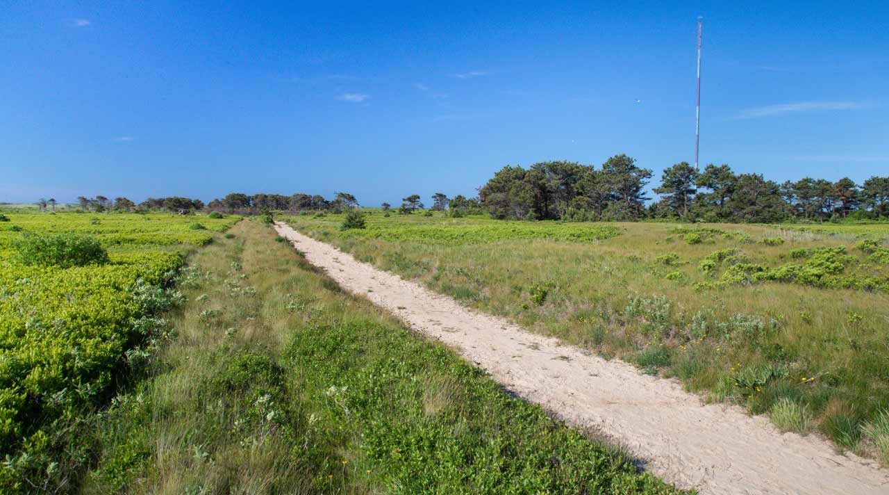 Trail at the Smooth Hummocks Coastal Preserve