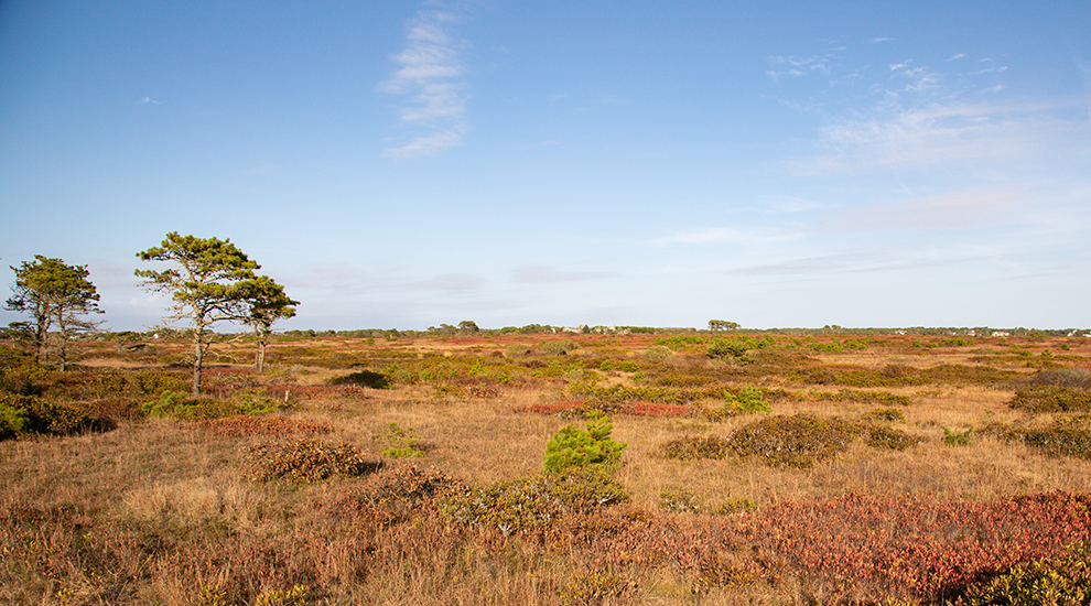 Smooth_Hummocks-9 CROPPED