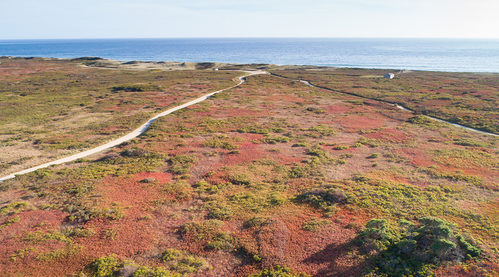 Smooth_Hummocks_drone-3 CROPPED