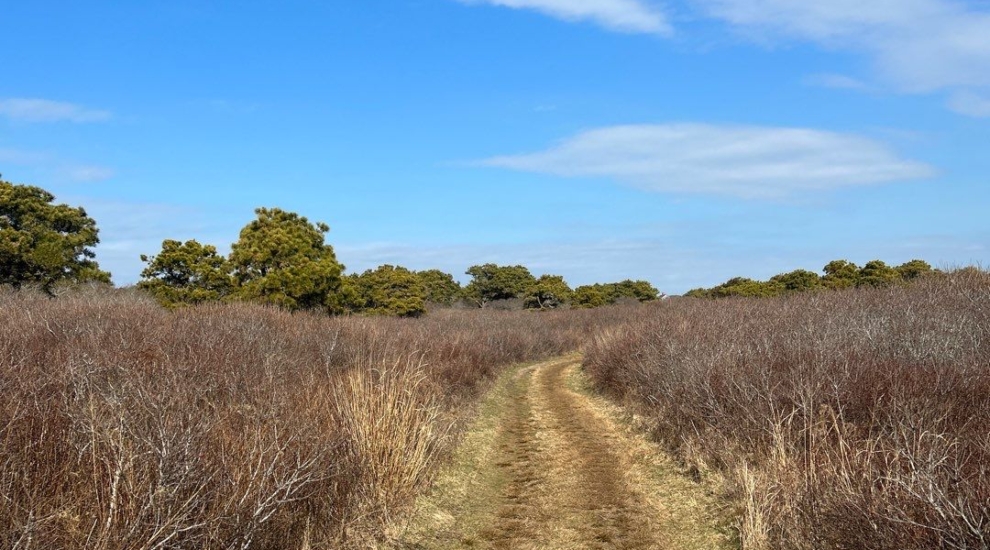 South Shore huckleberry trail