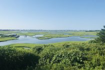 Summer Scenic View of the Creeks